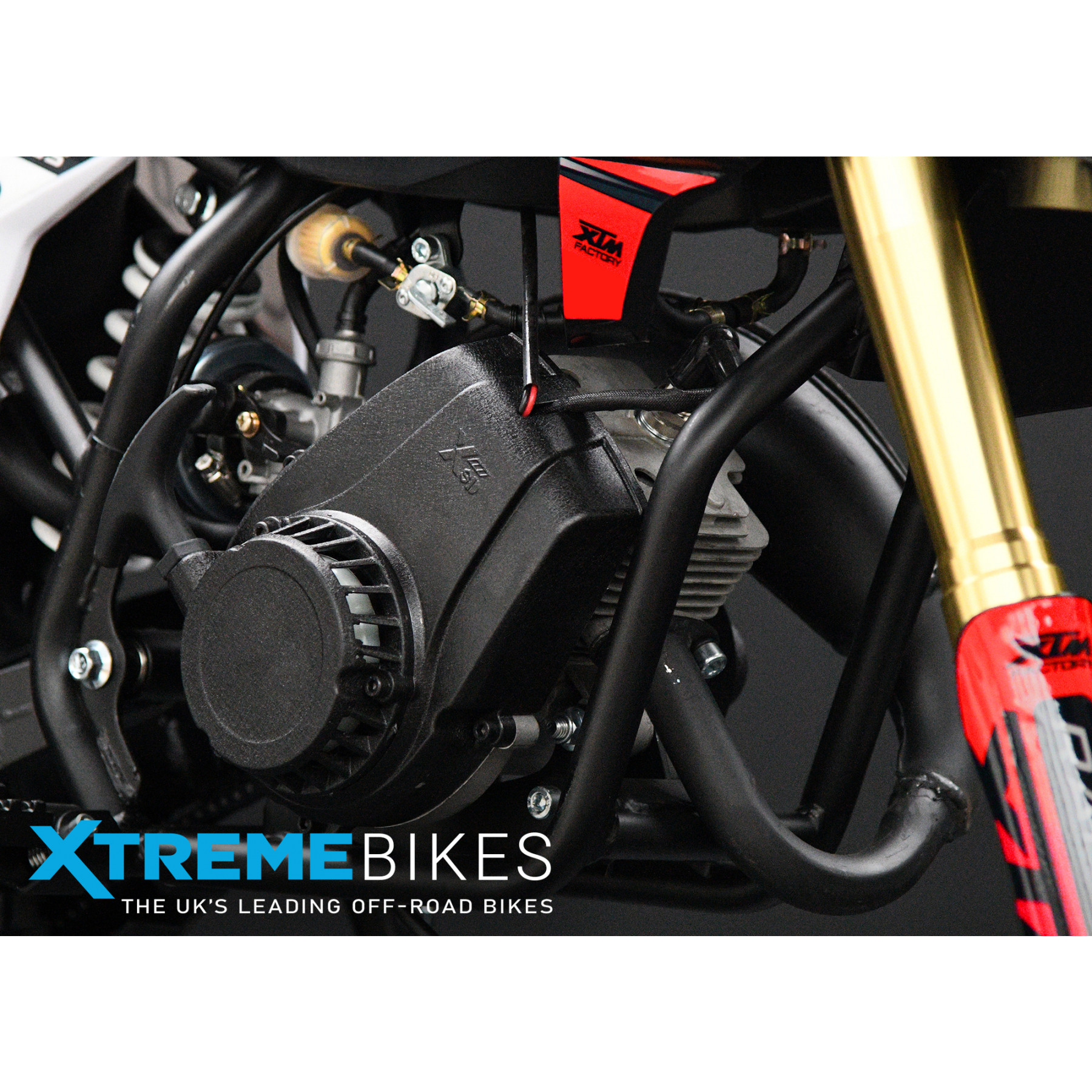 XTM MX60 RACING 60CC DIRT BIKE RED