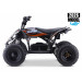 2026 XTM RACING 48V 1600W LITHIUM YOUTH ATV QUAD BIKE ORANGE