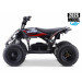 2026 XTM RACING 48V 1600W LITHIUM YOUTH ATV QUAD BIKE RED