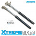 MINI DIRT BIKE COMPLETE FRONT FORK SHOCK ABSORBER SET