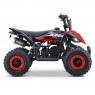 XTM MONSTER 50cc PETROL QUAD BIKE RED