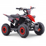 XTM MONSTER 50cc PETROL QUAD BIKE RED