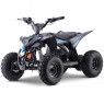 XTM RIFT FR1500 48V 1500W LITHIUM YOUTH ATV QUAD BIKE BLUE