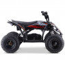 XTM RIFT FR1500 48V 1500W LITHIUM YOUTH ATV QUAD BIKE RED