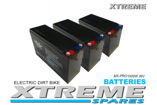 XTREME ELECTRIC XTM MX-PRO 36V 1000W REPLACEMENT LEAD BATTERY SET